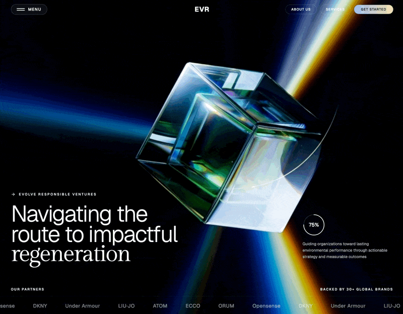 Website Design